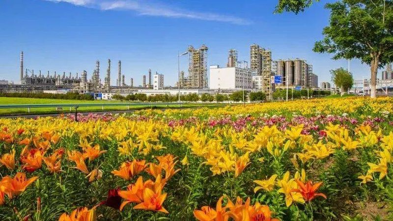 工业添加剂和食品添加剂，看似相近实则天差地别