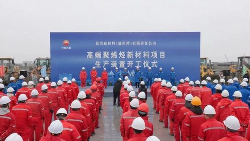 喷施助剂效果不佳，问题可能出在厂家选择上